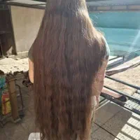 موسسه و نمایندگی در زابل و زاهدان م و