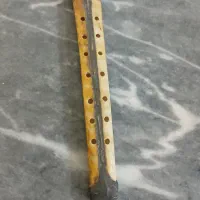 دوزله بال هه لو کردستان ،استخوان کاملا سالم