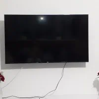 تلوزیون