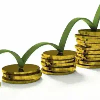 راهنمای کنید