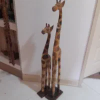 دو عدد زرافه