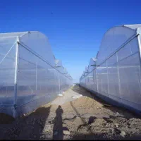 دعوت به همکاری (نیروی گلخانه زنی)|استخدام صنعتی، فنی، مهندسی|پیر بکران, |دیوار