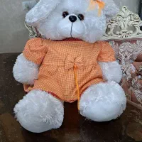 عروسک پولیشی