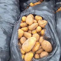 سیب زمینی خلال بلژیکی|خوردنی و آشامیدنی|تهران, یافت آباد جنوبی|دیوار