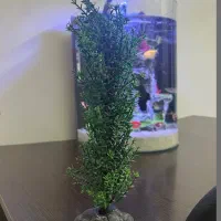 چراغ اکواریوم  و درختچه با ۲۰ سانت ارتفاع