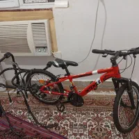 فروش دوچرخه دندهای خارجی ایتالیا20