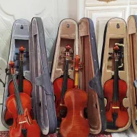 ویولون نو و درحدنو|ویولن|شیراز, مسلم|دیوار