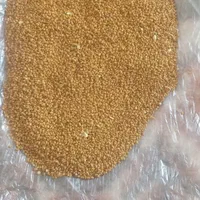 بهترین خدمات کشاورزی گریوینج بذر یونجه|خدمات باغبانی و درختکاری|بانه, |دیوار