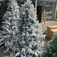 درخت کاج کریسمس