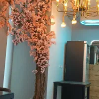 درختچهآرزوها،درختچهشکوفه|گل مصنوعی|سبزوار, کاشفی شمالی (دادگستری)|دیوار