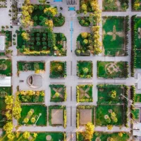 همراه پیاده روی