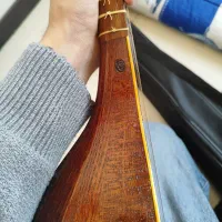 سه تار عطا|سازهای سنتی|کرج, گوهردشت|دیوار