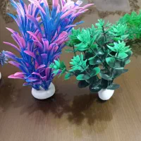 گیاه آکواریومی