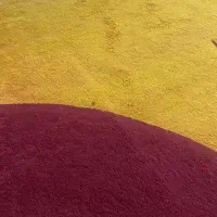 گلیم فرش ۶متری