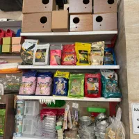 راهب عروس برزیلی کرینچیگ سخنگو رام دستی|پرنده|تهران, وحیدیه|دیوار