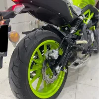 بنلی ۳۰۰ در حد خشک