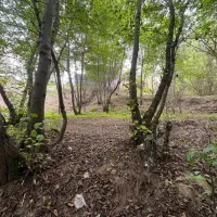 رهن خانه ویلایی ۱۰۰۰ متری مناسب برای کافه رستوران|اجارهٔ خانه و ویلا|لاهیجان, بوجایه|دیوار