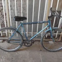 دو عدد دوچرخه