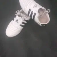 کفش تکواندو در حد