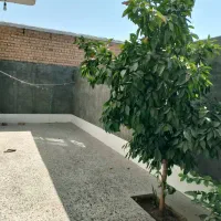 خانه|فروش خانه و ویلا|مرودشت, کوشک|دیوار
