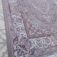 یک جفت گردویی|فرش|مشهد, مصلی (کارمندان اول)|دیوار