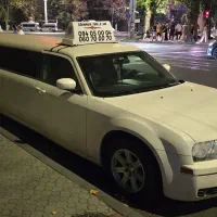 همکار ماهر کارواش