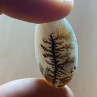 عقیق شجر