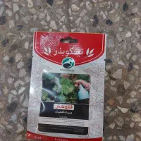 انواع گل گلدان|گل و گیاه طبیعی|شوش, |دیوار