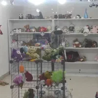 فروش قفسه mdf و عروسک پولیشی