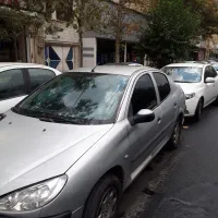 ۲۰۶اس دی دوگانه شرکتی