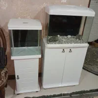 آکواریوم دلسا k580