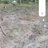 زمین کشاورزی