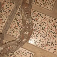 زنجیر|ابزارآلات|نظرآباد, رسالت|دیوار
