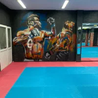 کفپوش تاتامی|تجهیزات ورزشی|قم, ارم|دیوار