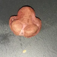هبهاب