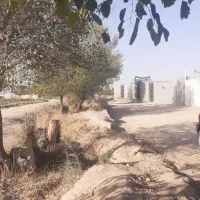 فروش زمین باغی ملکی همراه باآب آرامگاه فردوسی زا‌ک|فروش زمین و ملک کلنگی|مشهد, جانباز|دیوار