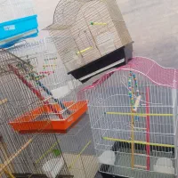 قفس های زینتی برای پرندگان زینتی|لوازم جانبی حیوانات|مرند, |دیوار