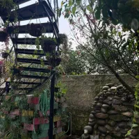 رهن و اجاره در چالوس شمال|اجارهٔ خانه و ویلا|چالوس, |دیوار