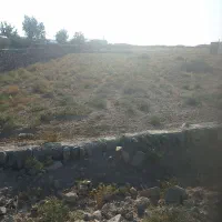 زمین