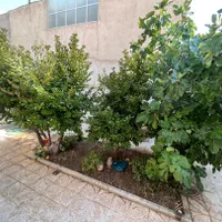 ویلایی دربست180متری سه خوابه/خ هشت بهشت شرقی|اجارهٔ خانه و ویلا|اصفهان, شاهزید|دیوار