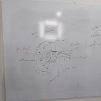 تدریس تمام پایه های تحصیلی|خدمات آموزشی|اهواز, فرهنگ شهر|دیوار