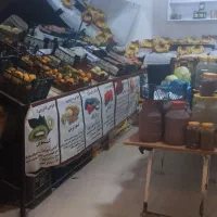 دکورمیز مغازه میوه|فروشگاه و مغازه|تربت جام, میان جام|دیوار