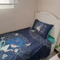 روتختی نوجوان در حد نو