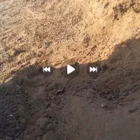 توافقی|خدمات باغبانی و درختکاری|انزل, |دیوار