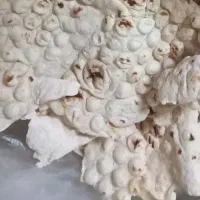 خوراک نان دامی