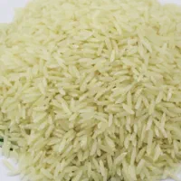 برنج طارم هاشمی وکشت دوم از خود کشاورز