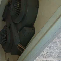 هود سالم|هود|اصفهان, جامی|دیوار