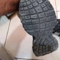 کفش اورجینال|کیف، کفش، کمربند|پرند, فاز ۶|دیوار