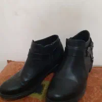 زنانه زمستانه|کیف، کفش، کمربند|رشت, خرسندی|دیوار