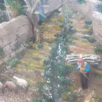 ۴ هکتار زمین دول عرو